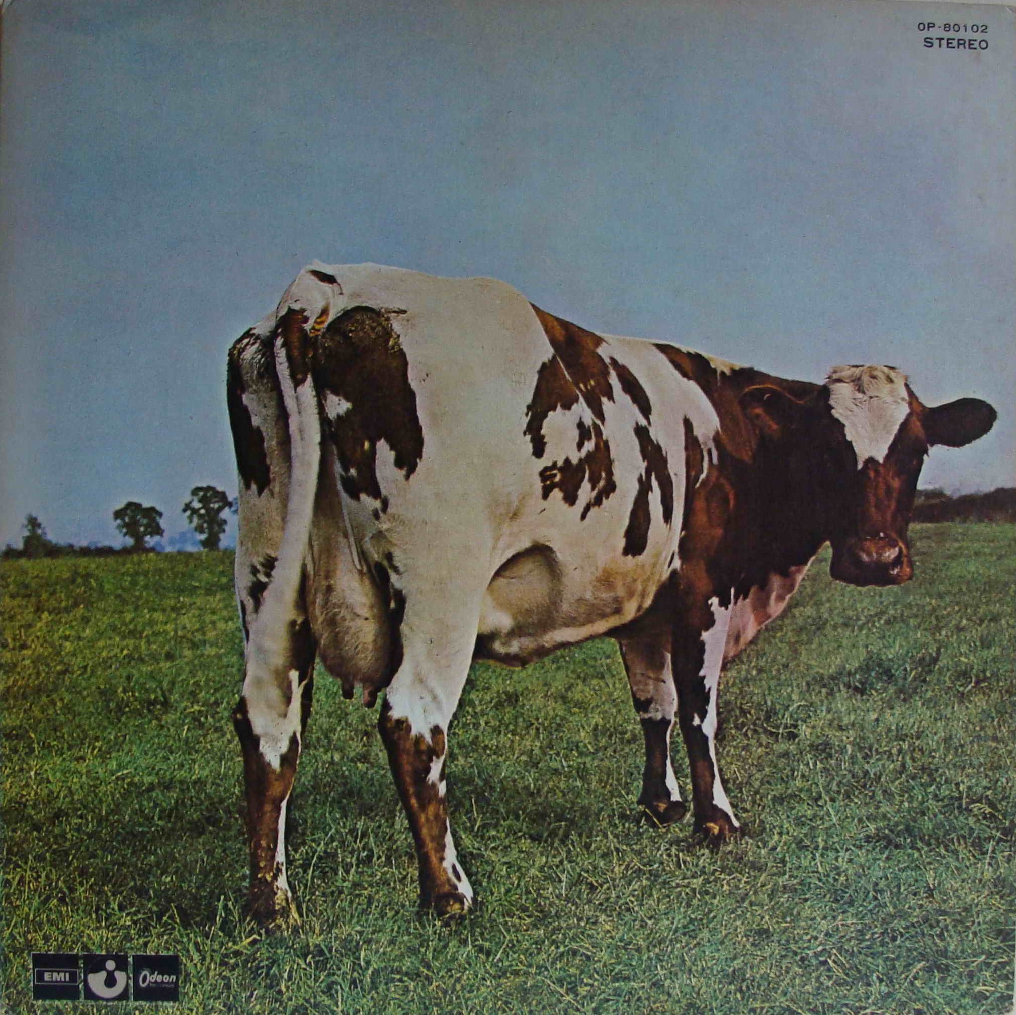 pink floyd: atom heart mother cover pink floyd: atom heart mother cover