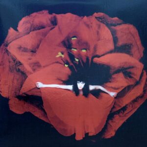 The Smashing Pumpkins - Adore