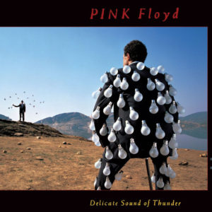Pink Floyd - Delicate Sound Of Thunder