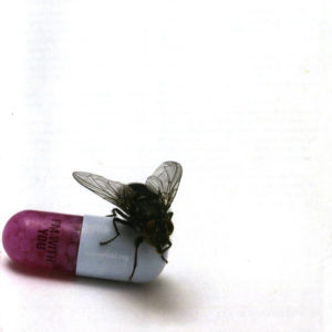 Red Hot Chili Peppers - I'm With You