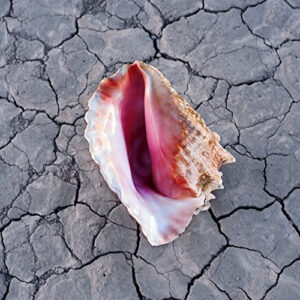 The Killers - Wonderful Wonderful Deluxe