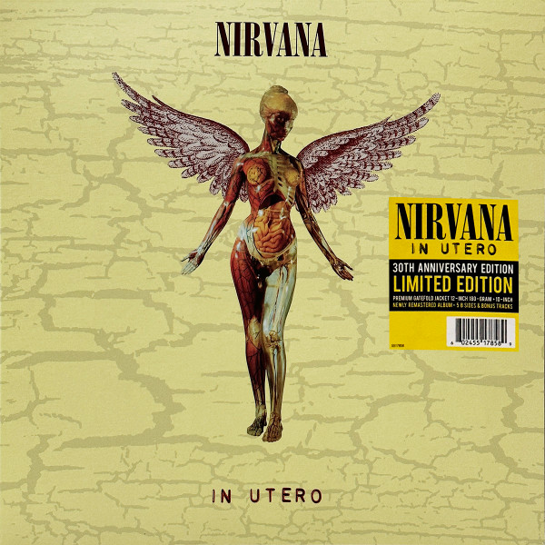 Nirvana – In Utero 30th Anniversary – Obi Vinilos