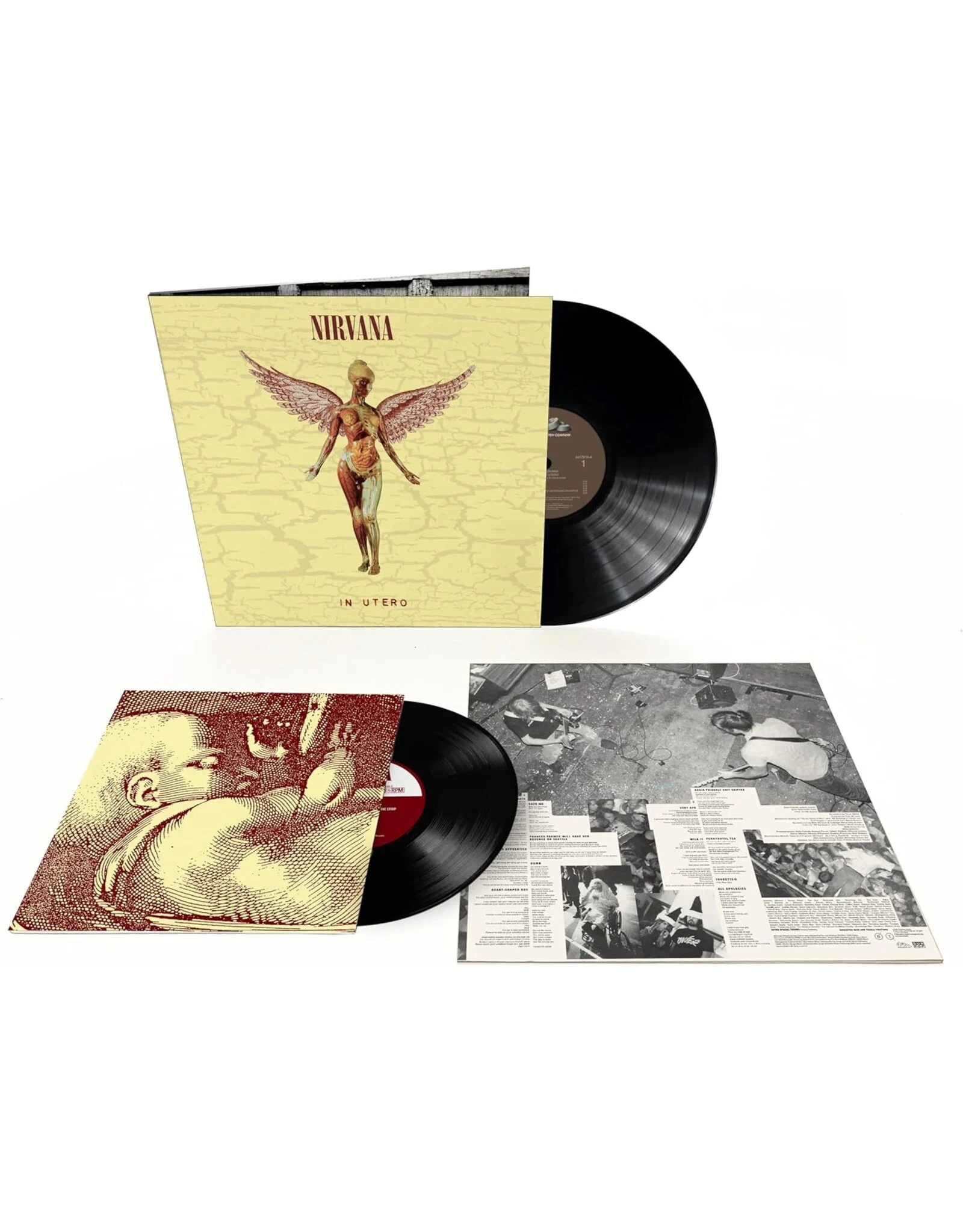 Nirvana – In Utero 30th Anniversary – Obi Vinilos